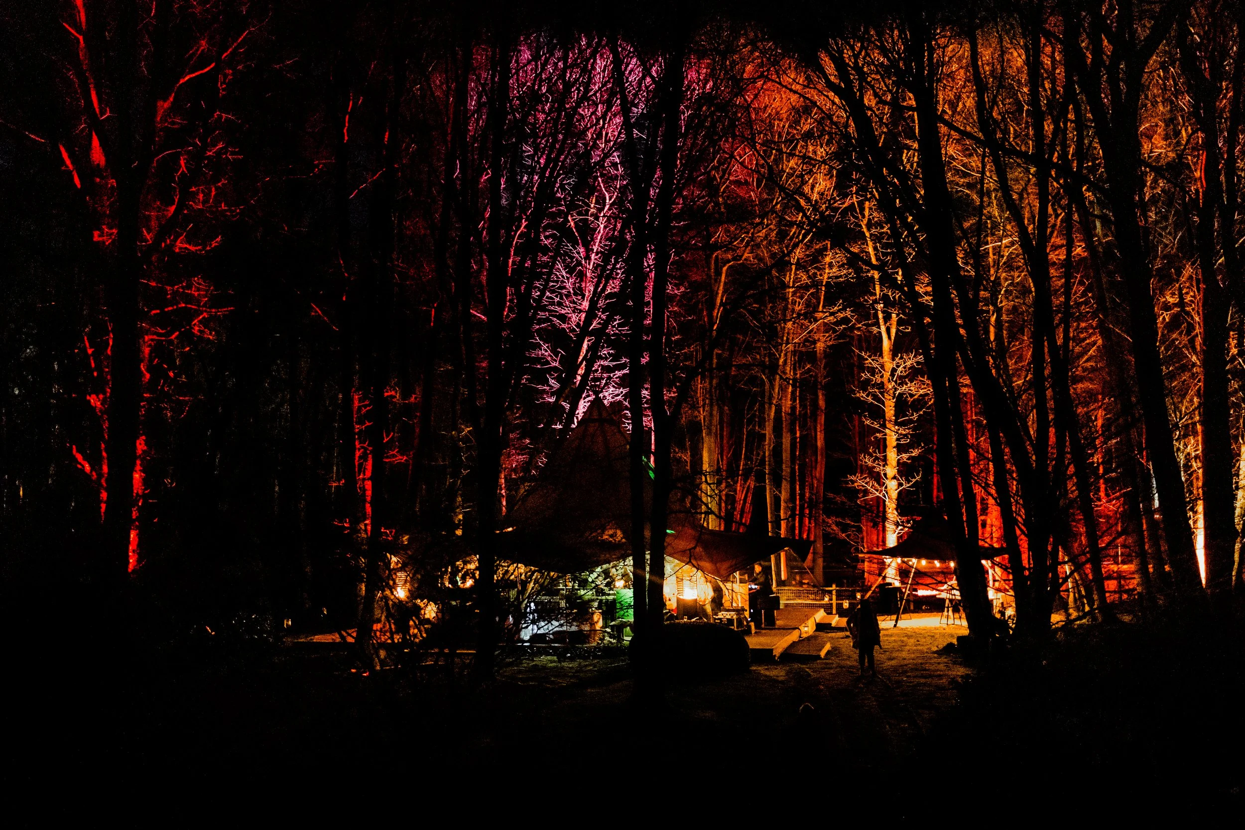 donkere sfeerbeelden van een verjaardagsfeest in een bos