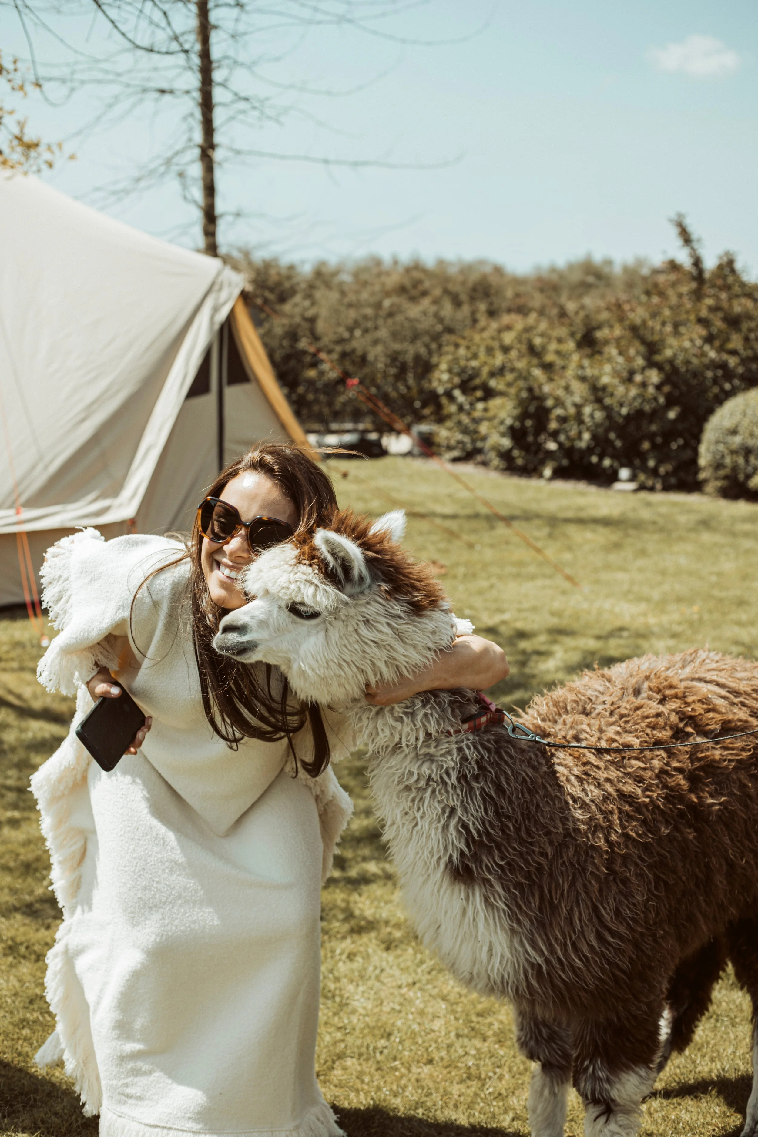 mevrouw die lama knuffel geeft