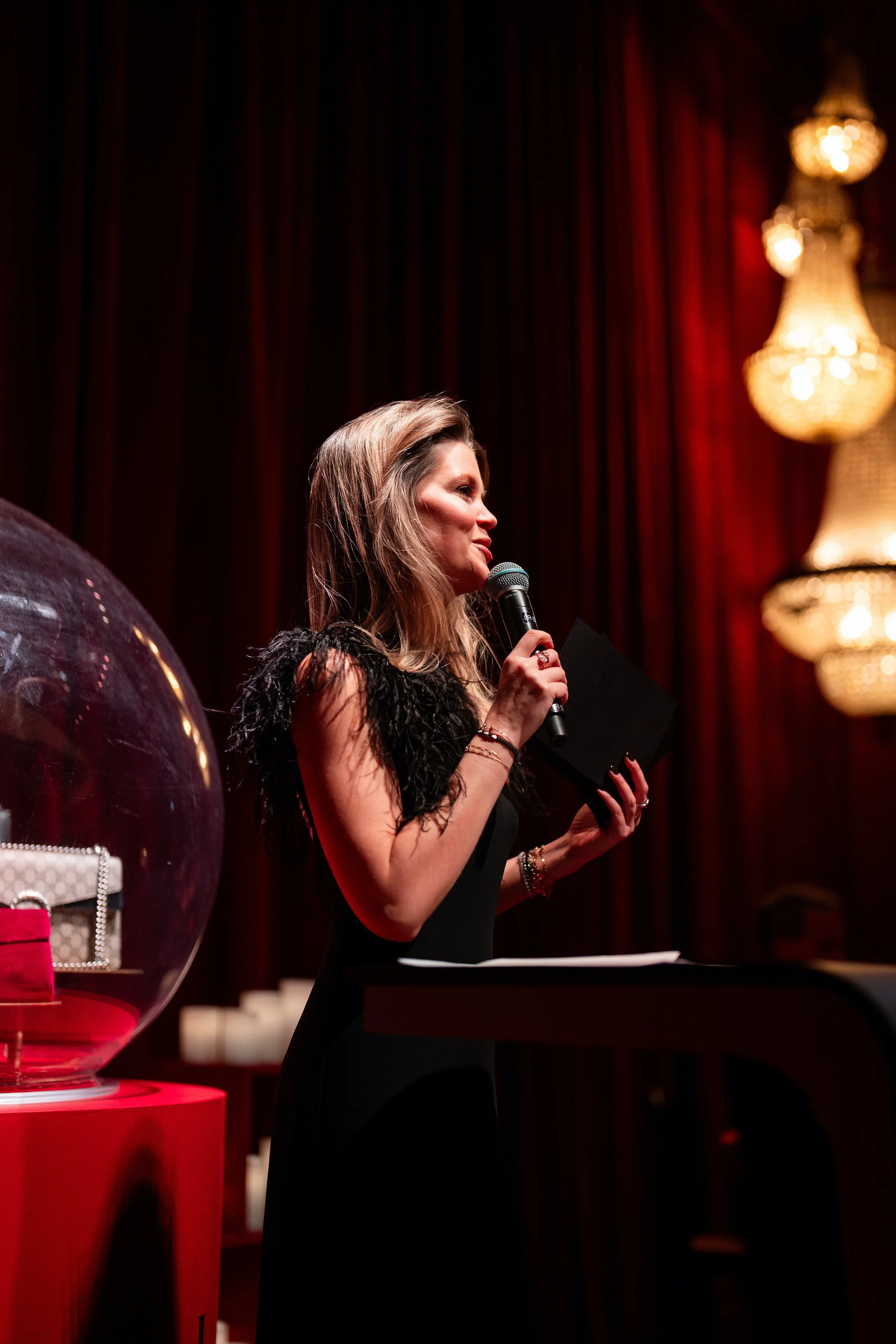 speech die gegeven wordt op productlancering