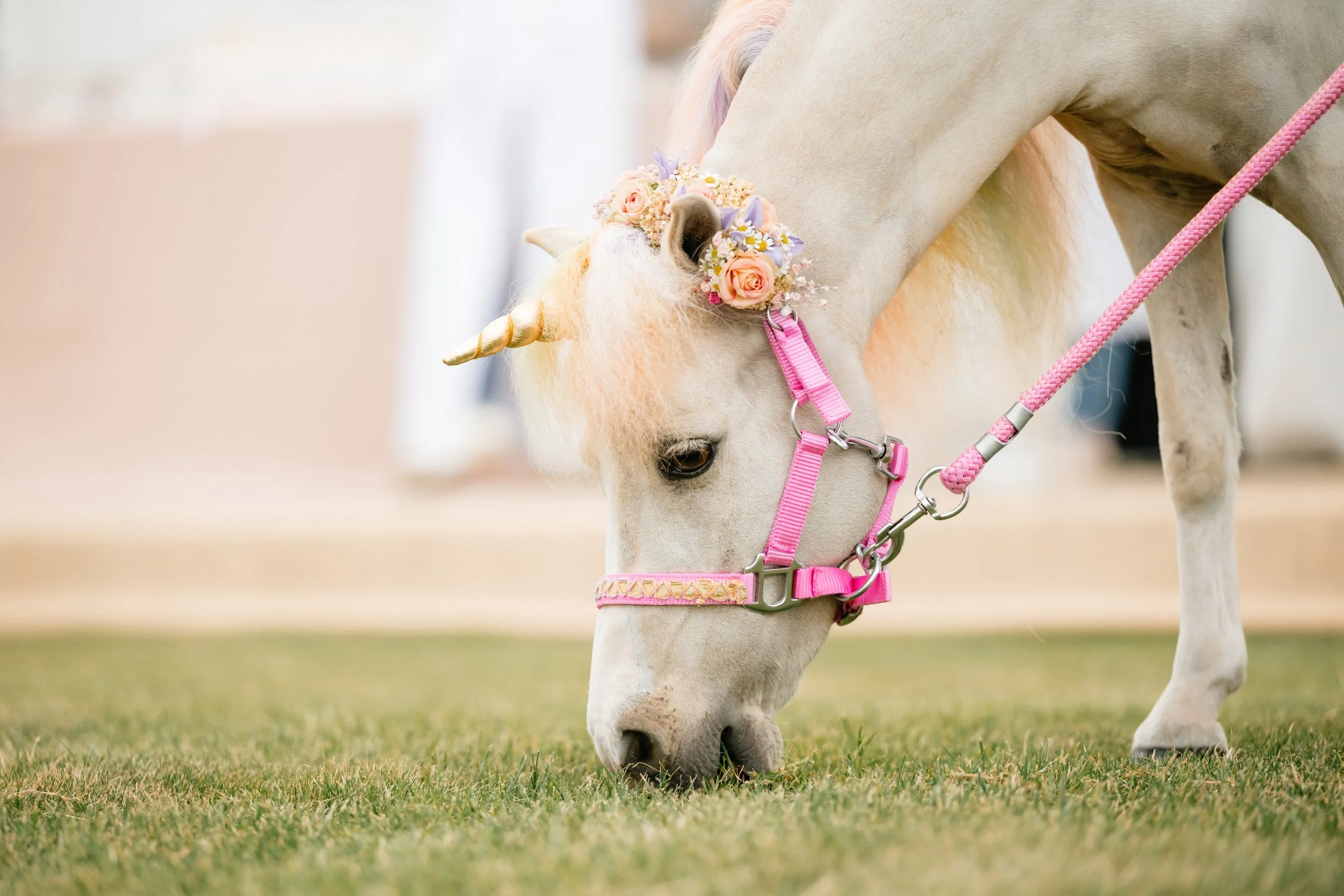 detailshot van pony aangekleed als unicorn