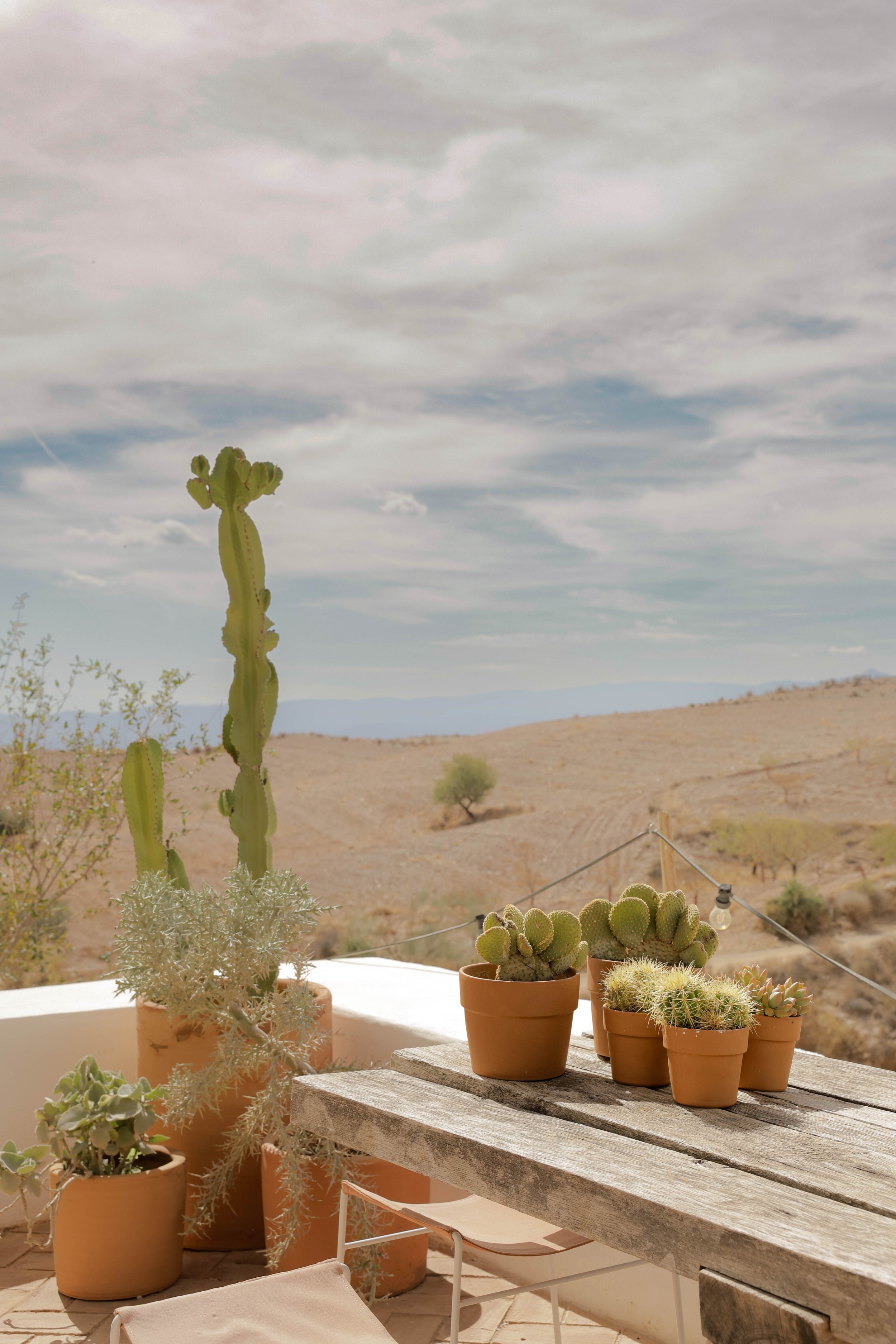 uitzicht op de bergen met cactussen