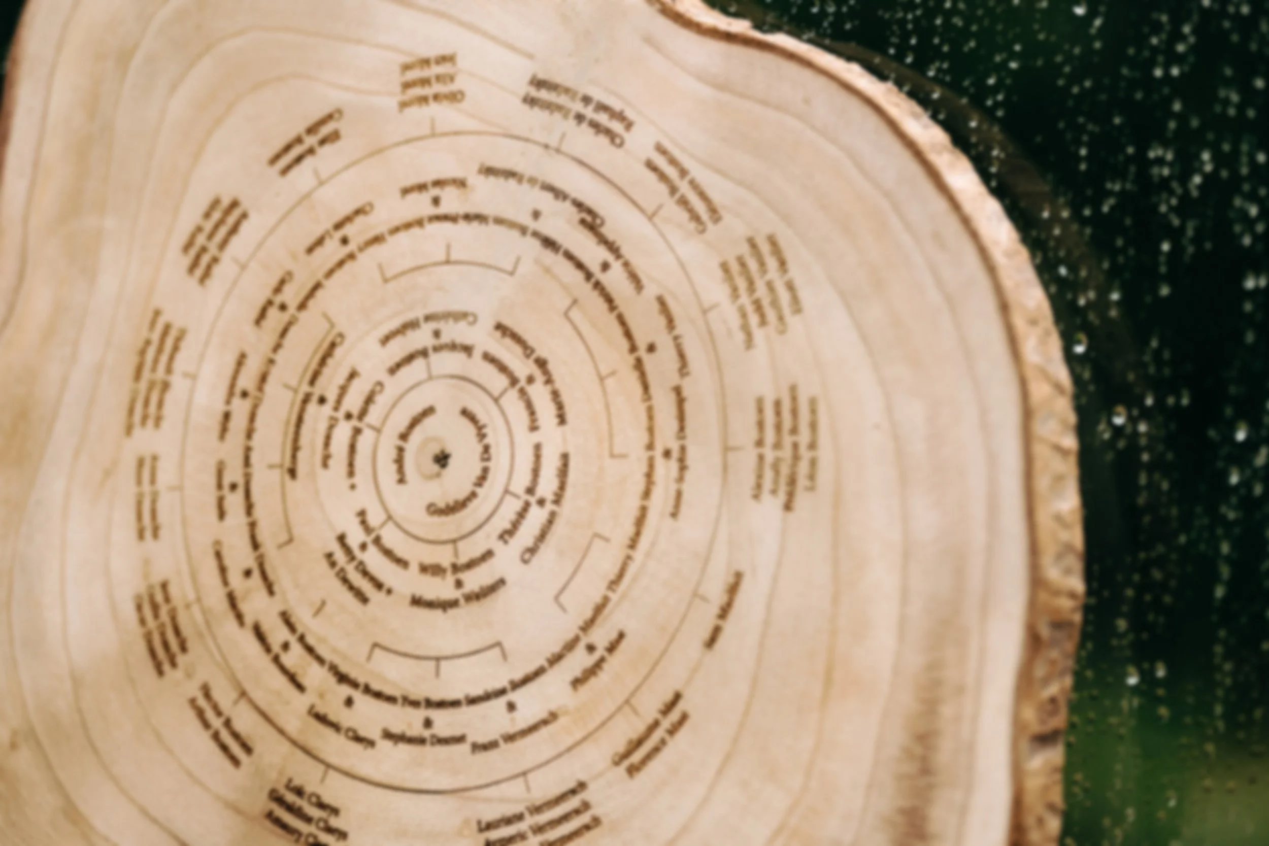 houten decoratie in serre