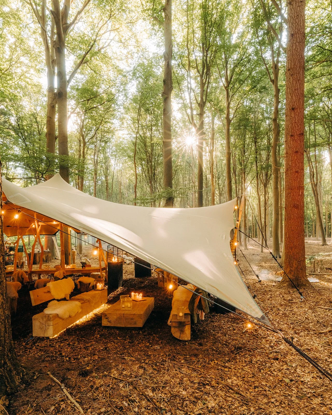 gezellige aankleding van tent in bos