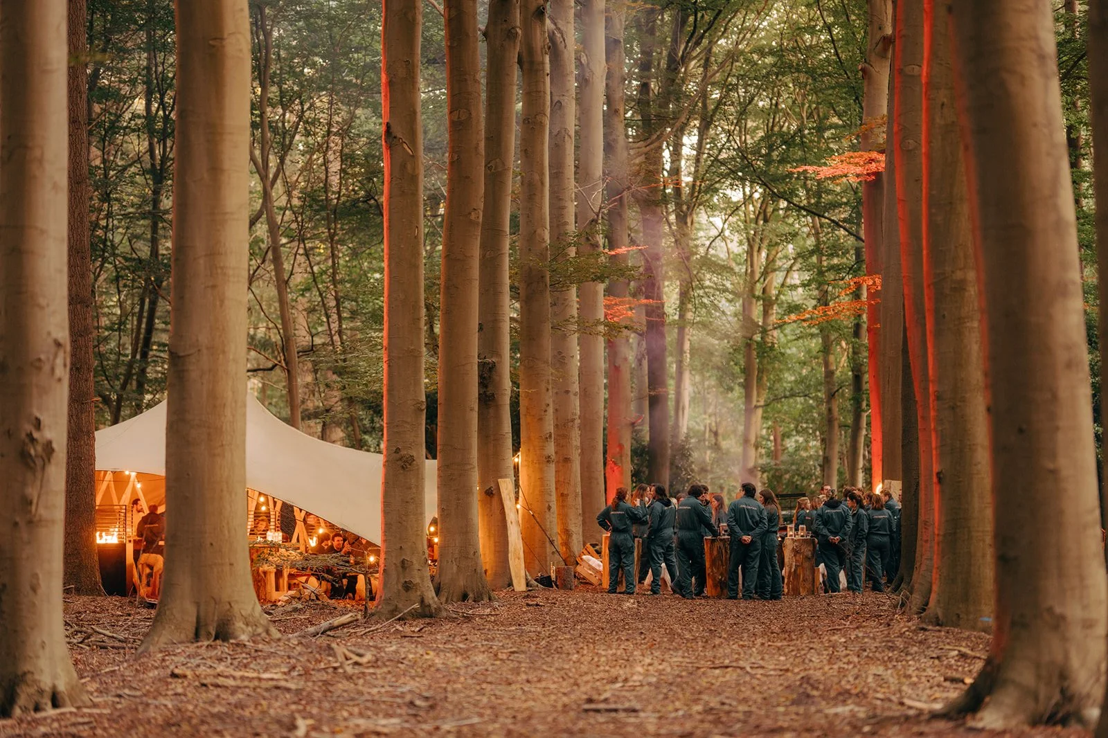 werknemers in bos voor teambuilding activiteiten