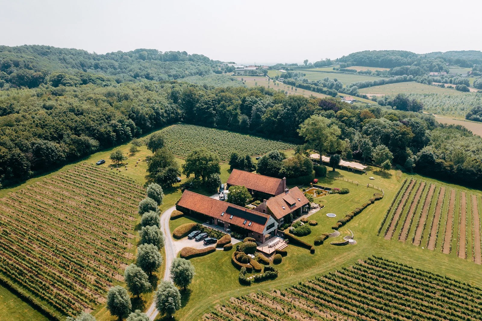 drone beeld van event op wijndomein