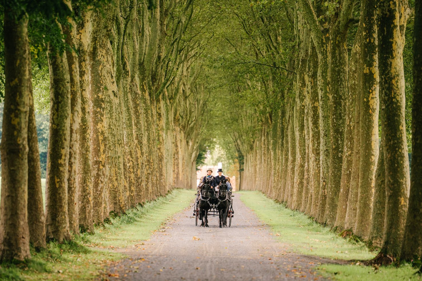 koetsrit door het bos om gasten te verwelkomen