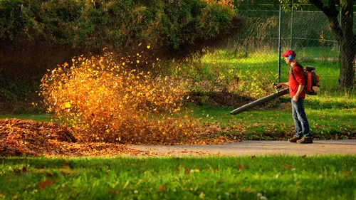 leaf+blower.jpg