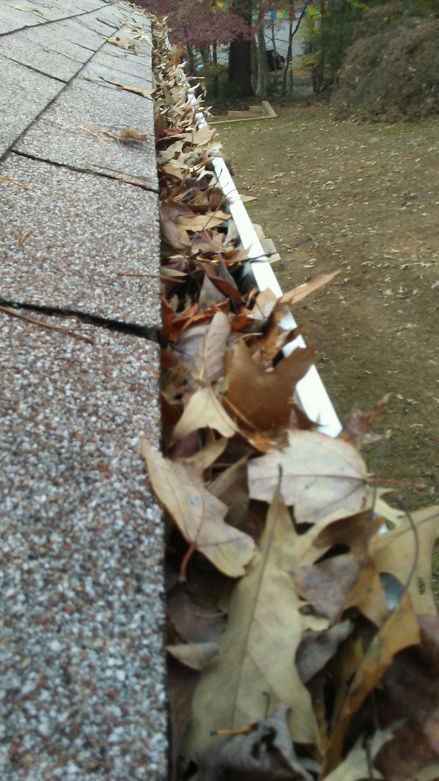 Image of a gutter full of leaves and debris in Charlottesville VA