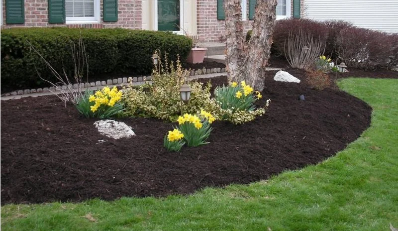 Mulch.jpg