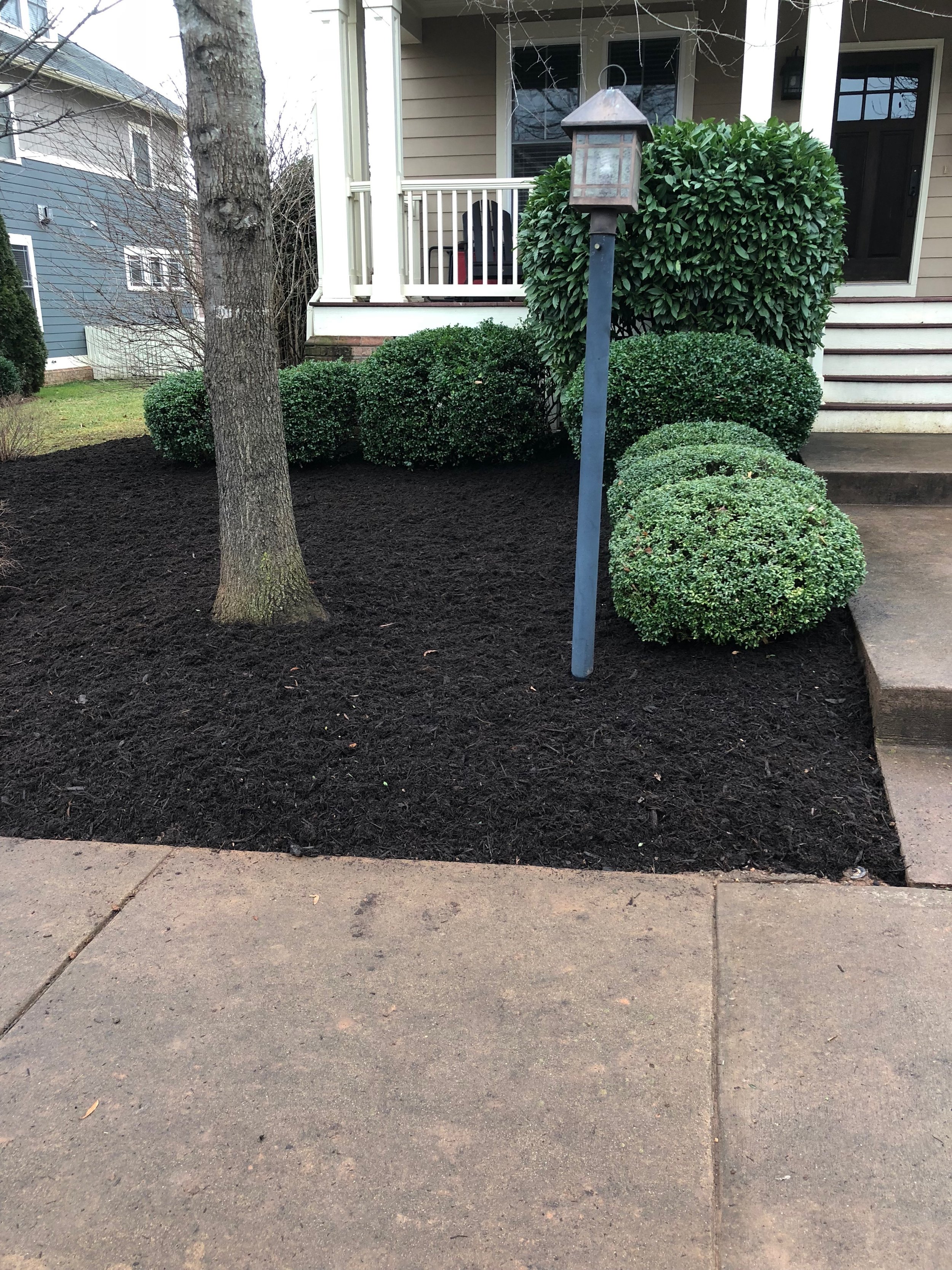 new-mulch-bed