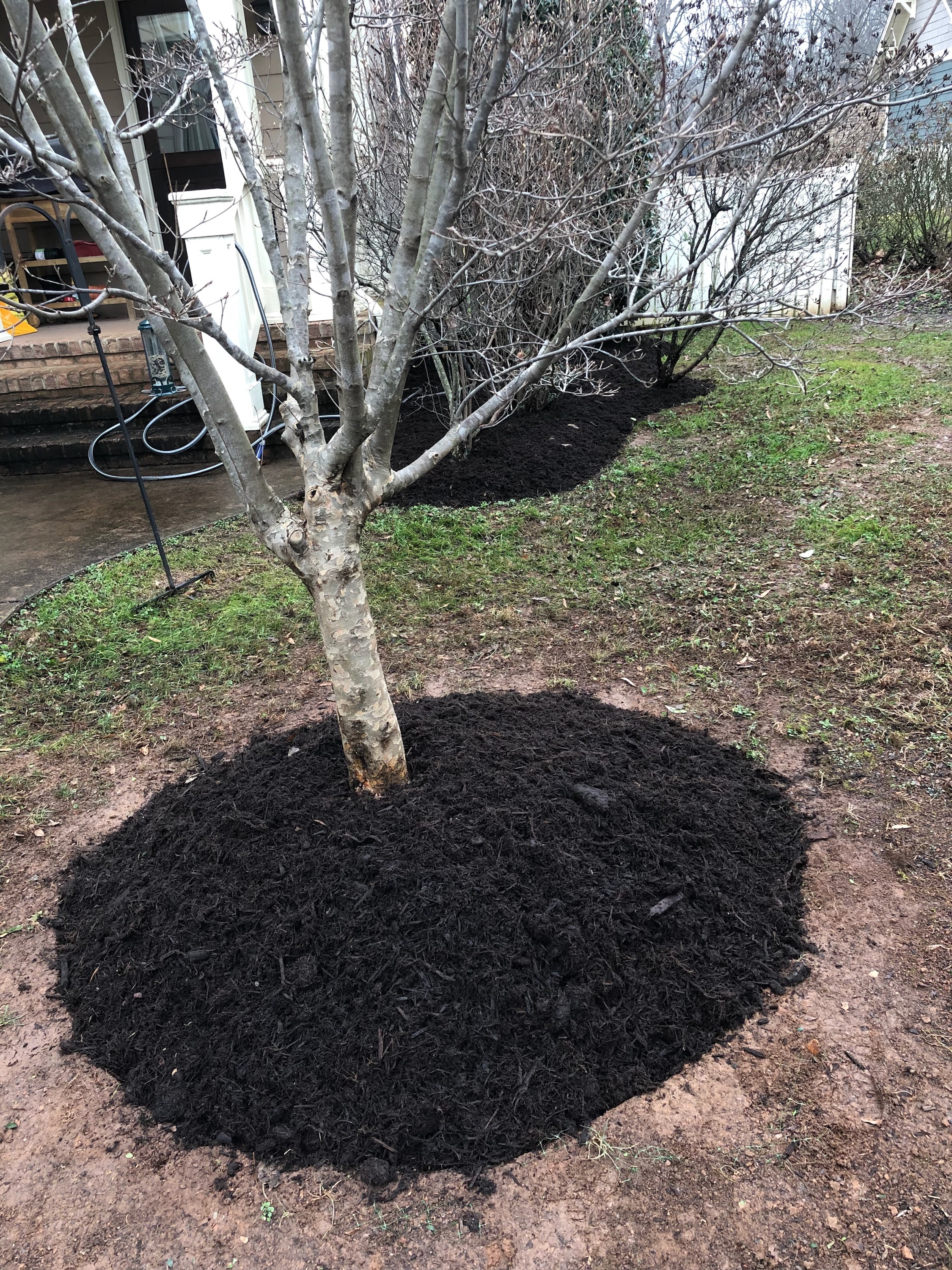 mulch-bed-around-base-of-tree