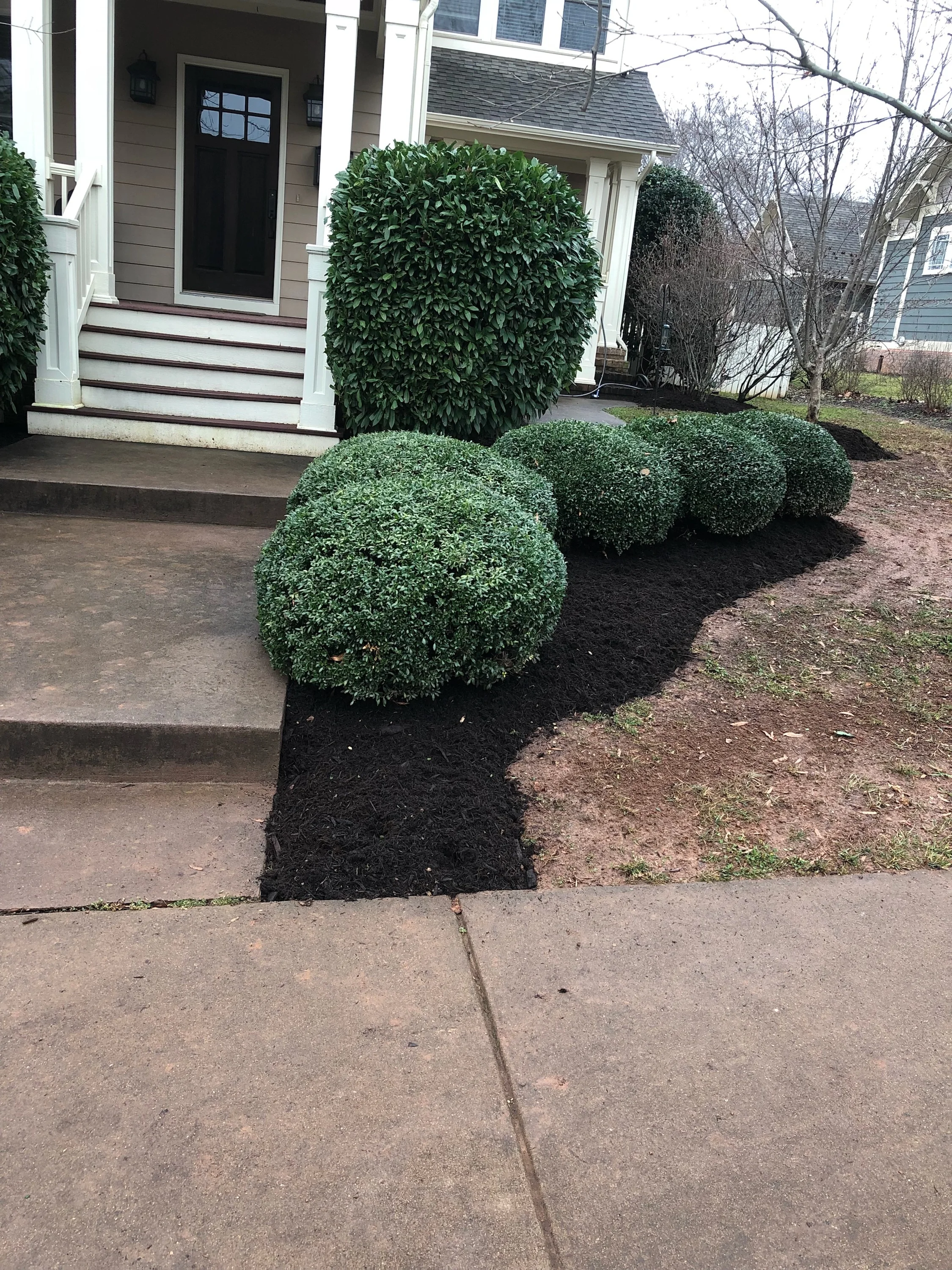 Photos from a yard clean up and mulching job