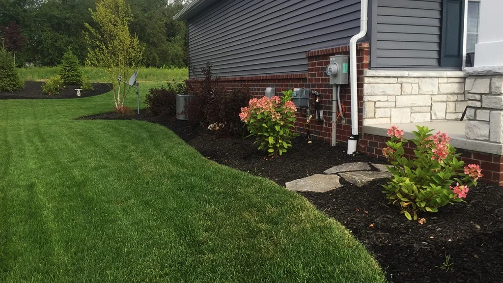 Mulch 1024 x 576.jpg
