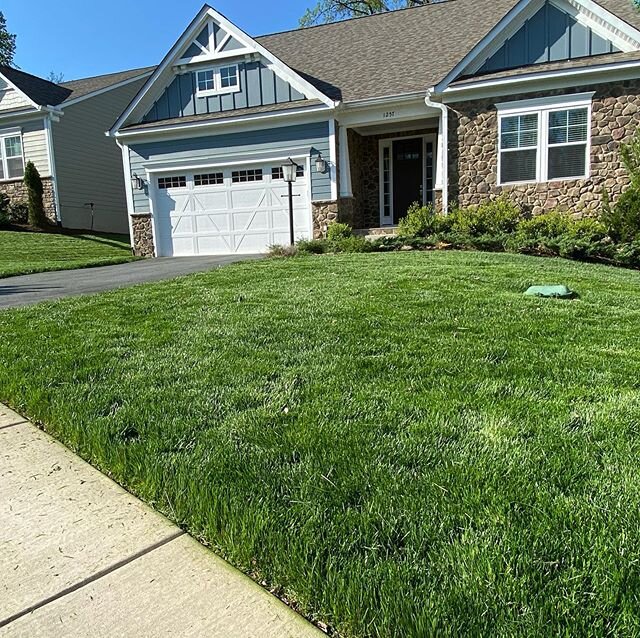Our professionals rake grass clippings so it looks extra good! Since we get so many phone calls from Google we get a lot of clients with overgrown lawns. When we choose to rake up the clippings it sets the lawn up for success the rest of the year wit