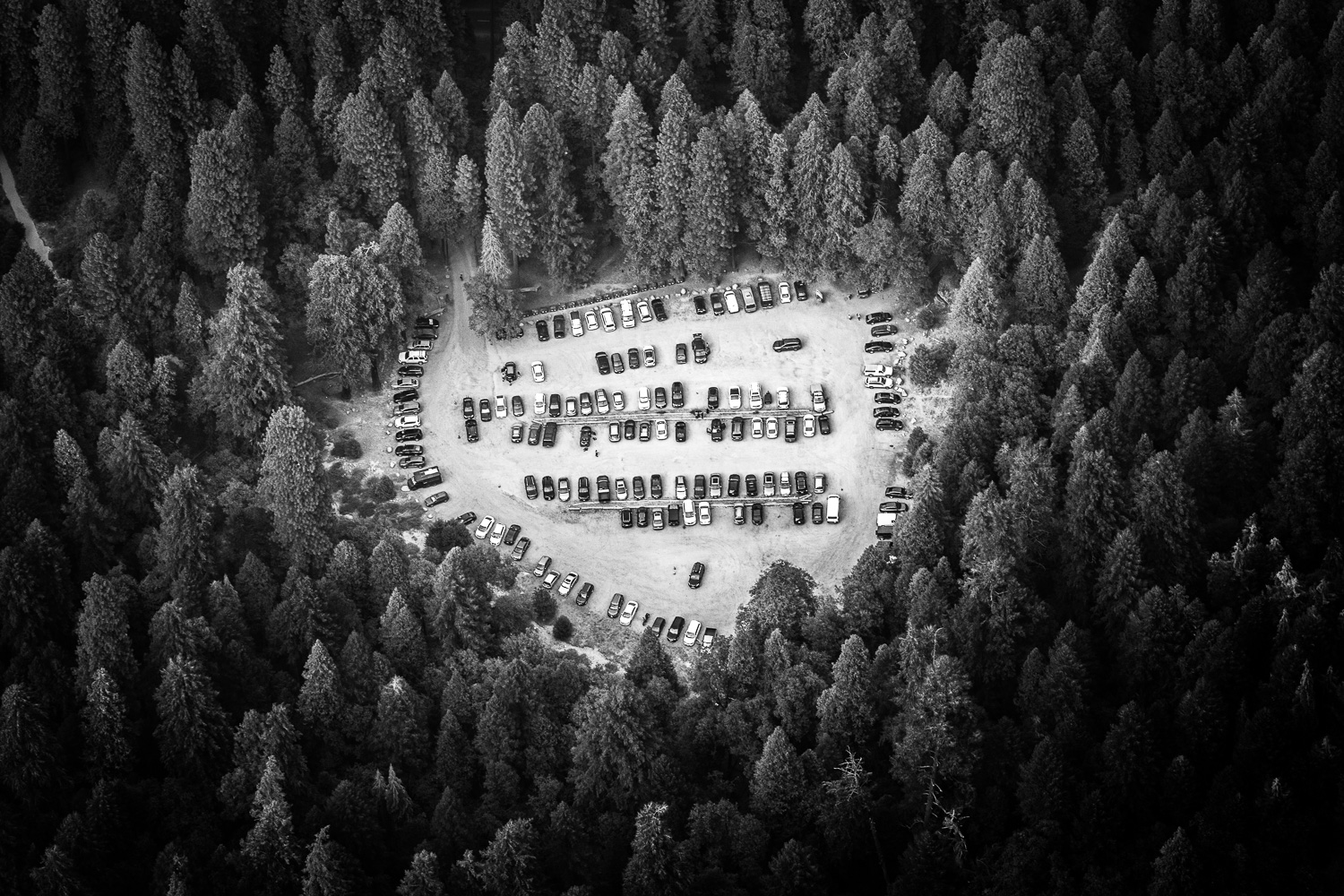 Yosemite Parking Lot