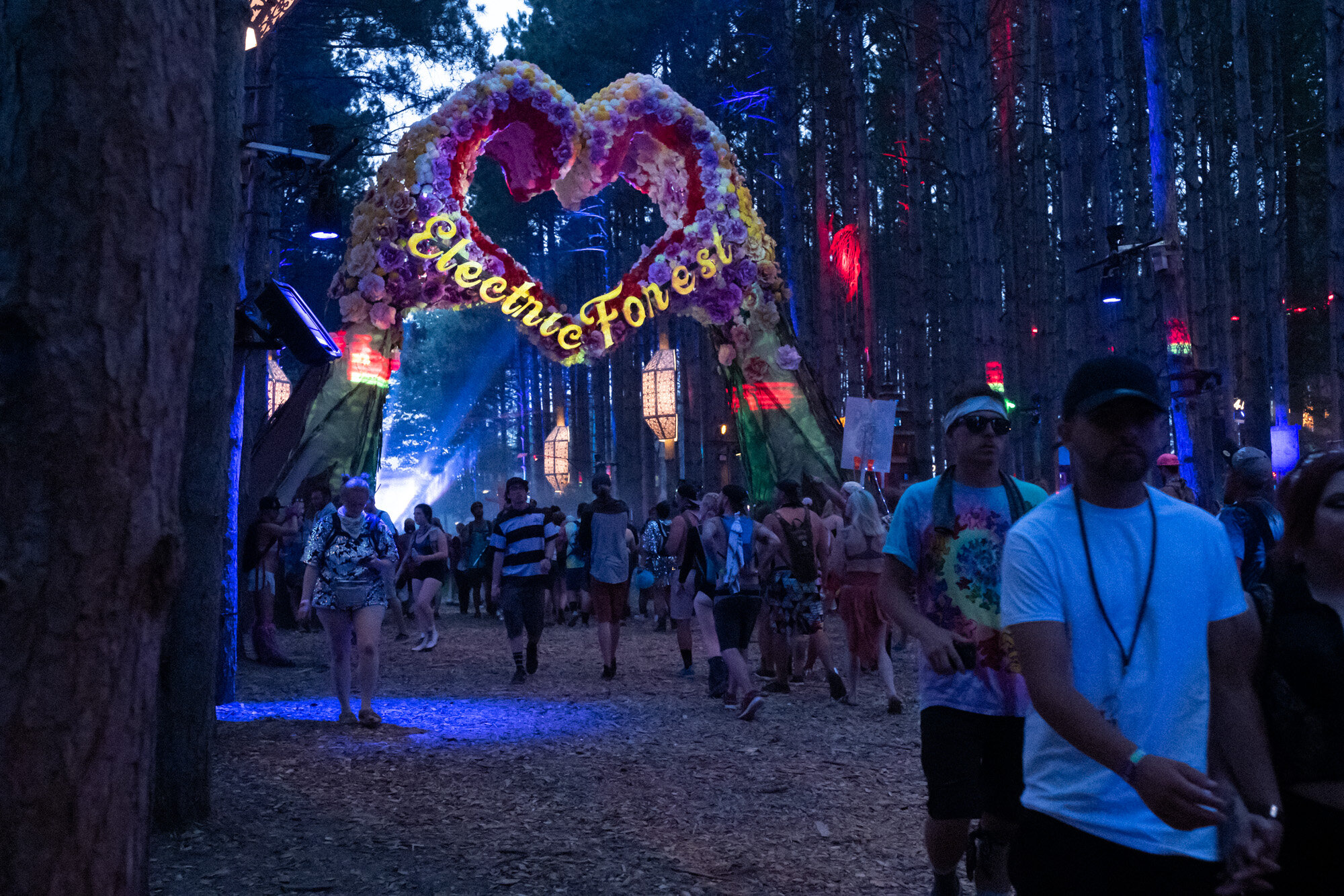 Electric Forest