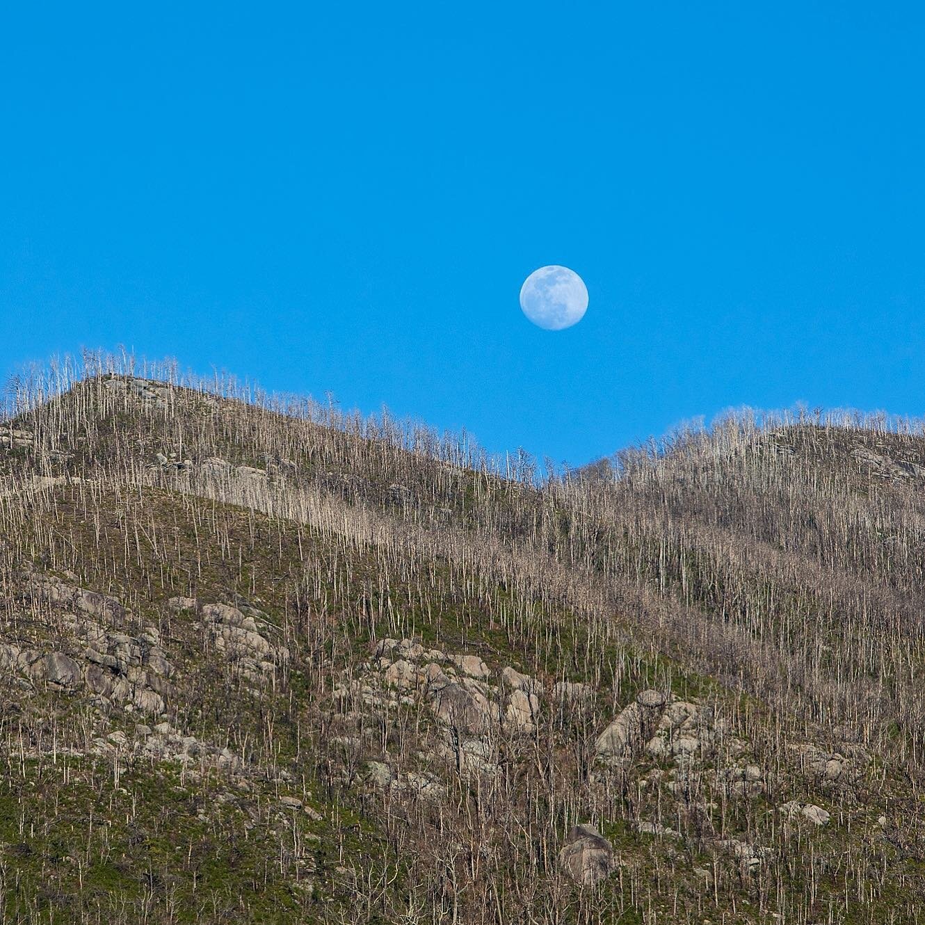 The effects of the wildfires in Smoky Mountains National Park.⁠⁠
⁠⁠
#smokymountains #nationalpark #wildfire #moonrise