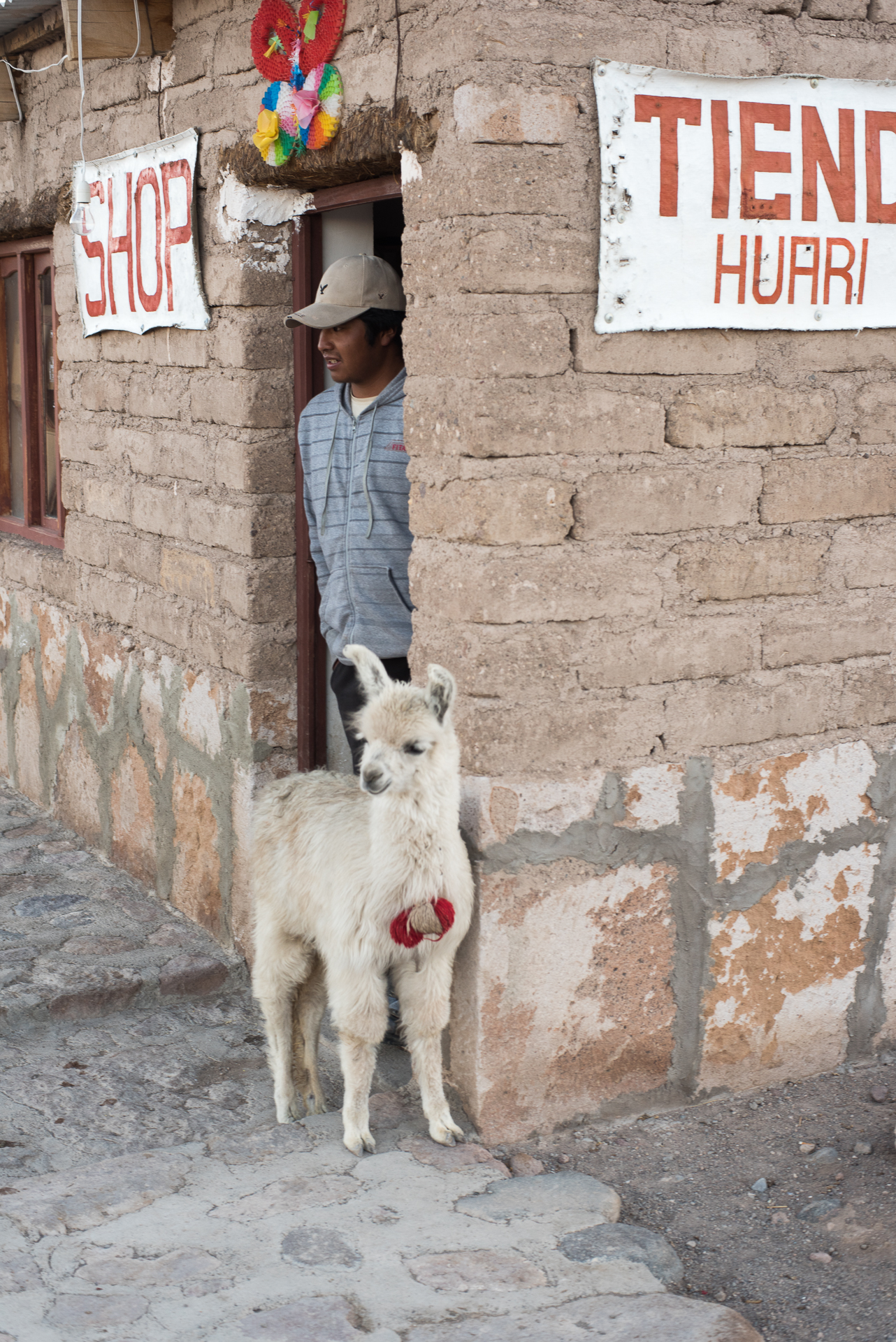 Villa Candelaria, Bolivia