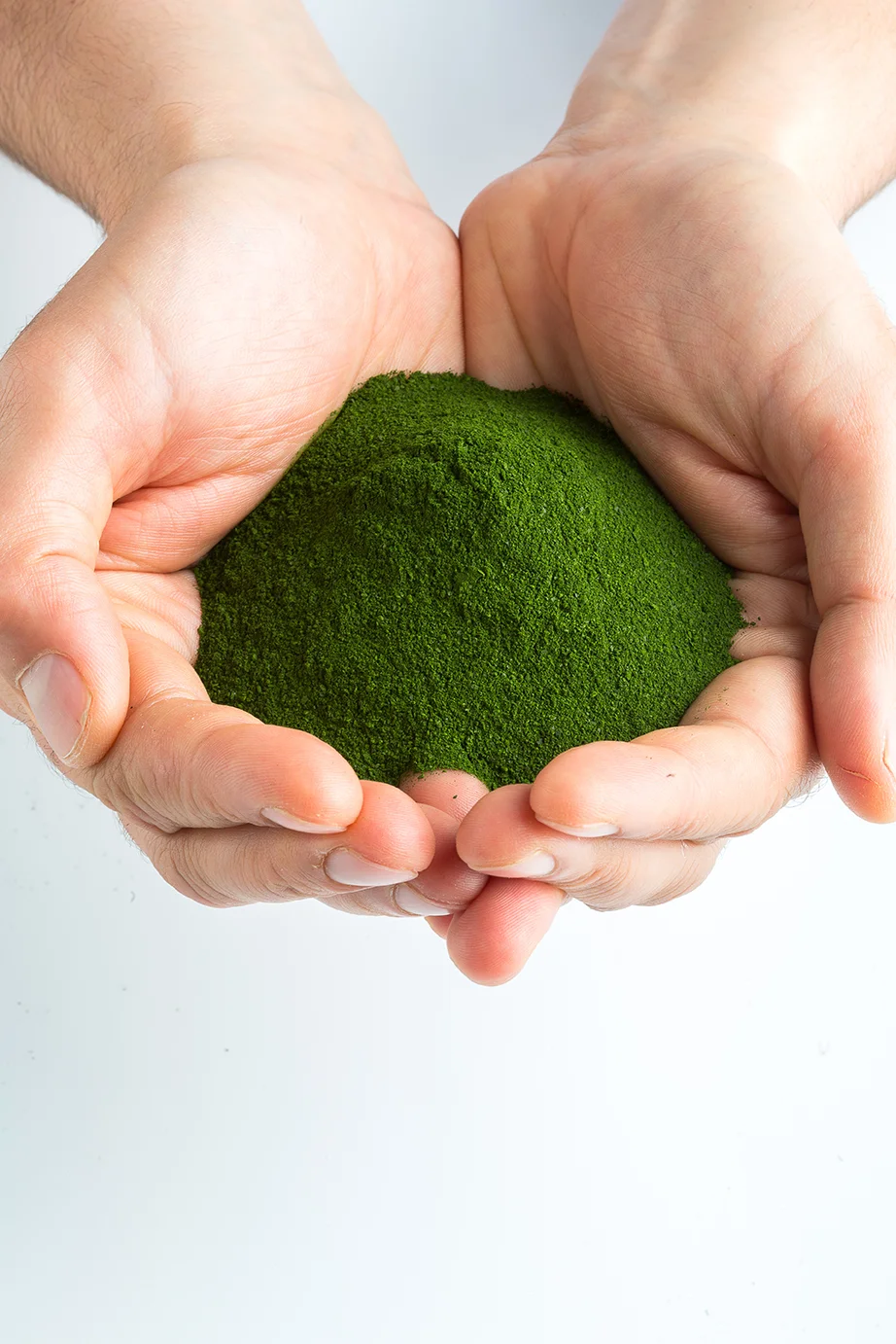 Phytoplankton is 100% absorbed due to the microscopic size of its cells