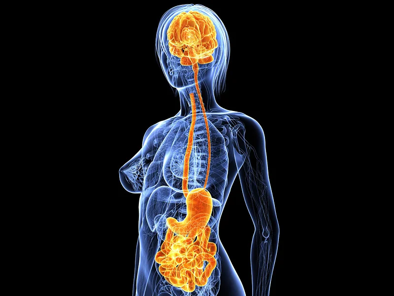 500 million neurons in your gut that affect your brain