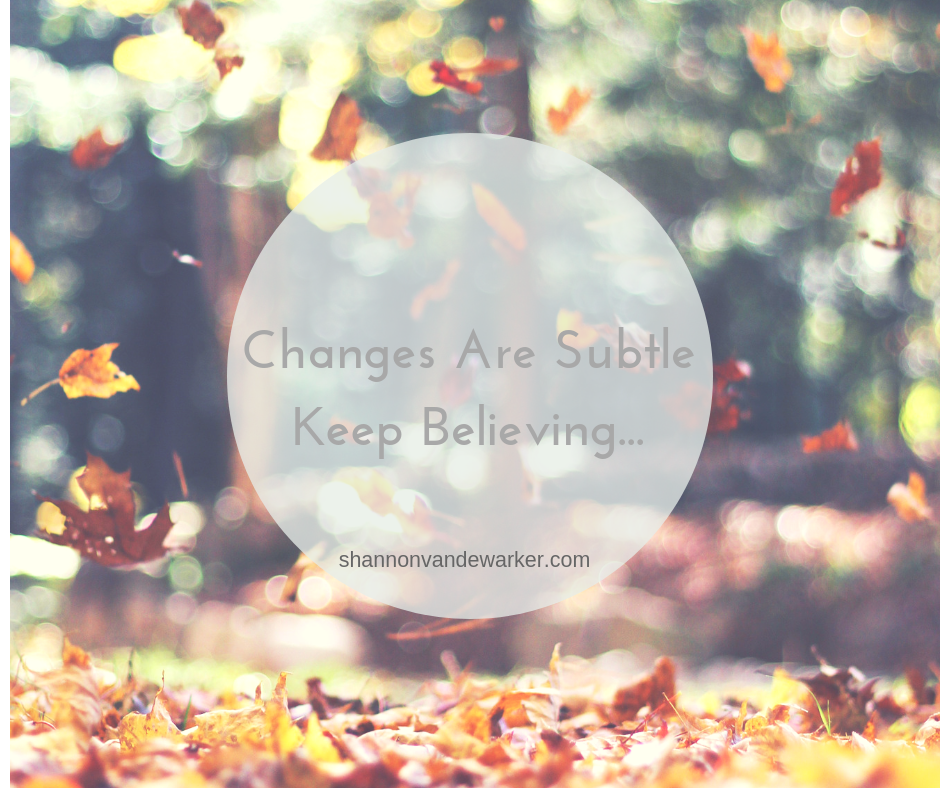 Changes Are Subtle Keep Believing....png