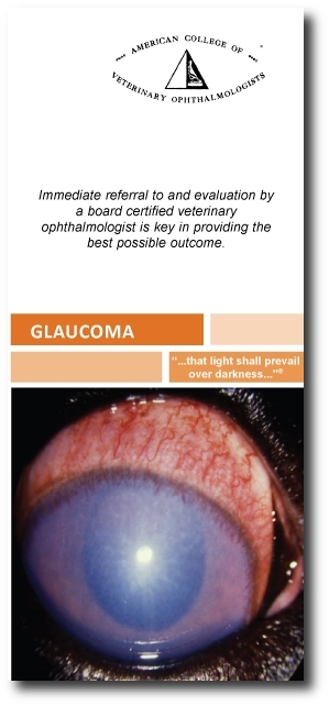 ACVO-Glaucoma-brochure with shadow.JPG
