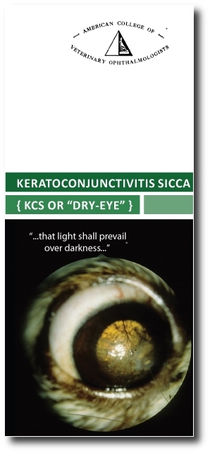 ACVO-KCS-brochure with shadow.JPG