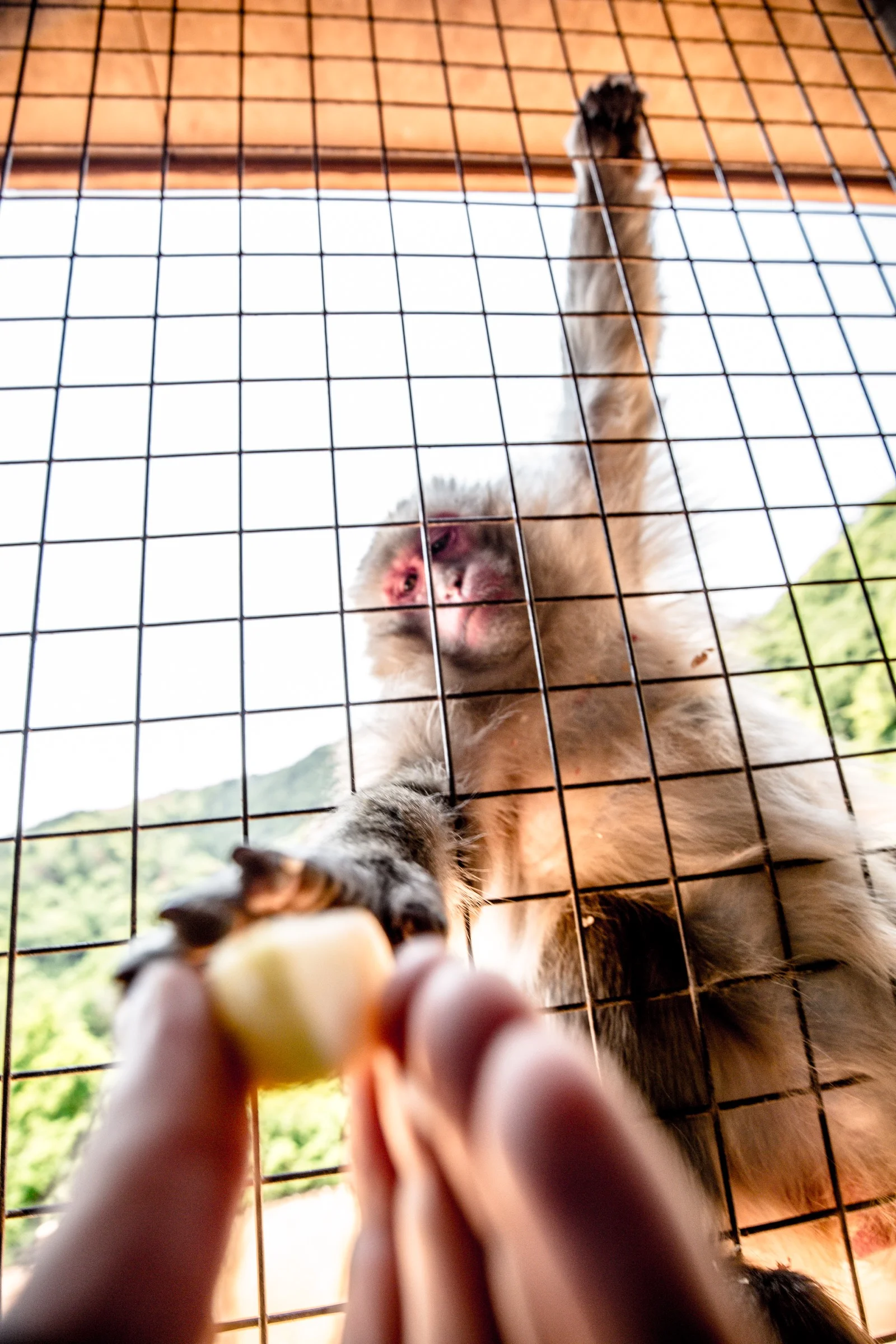 EN7A9068.jpg