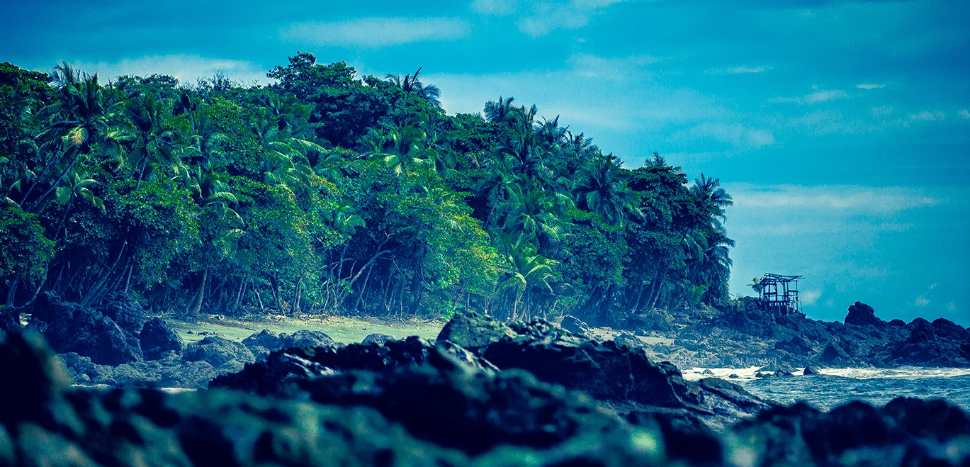 TROPICAL.jpg