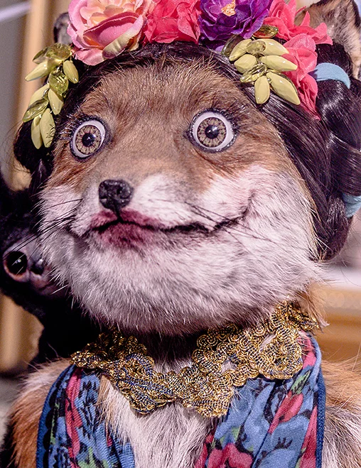 wolfy eyes.jpg