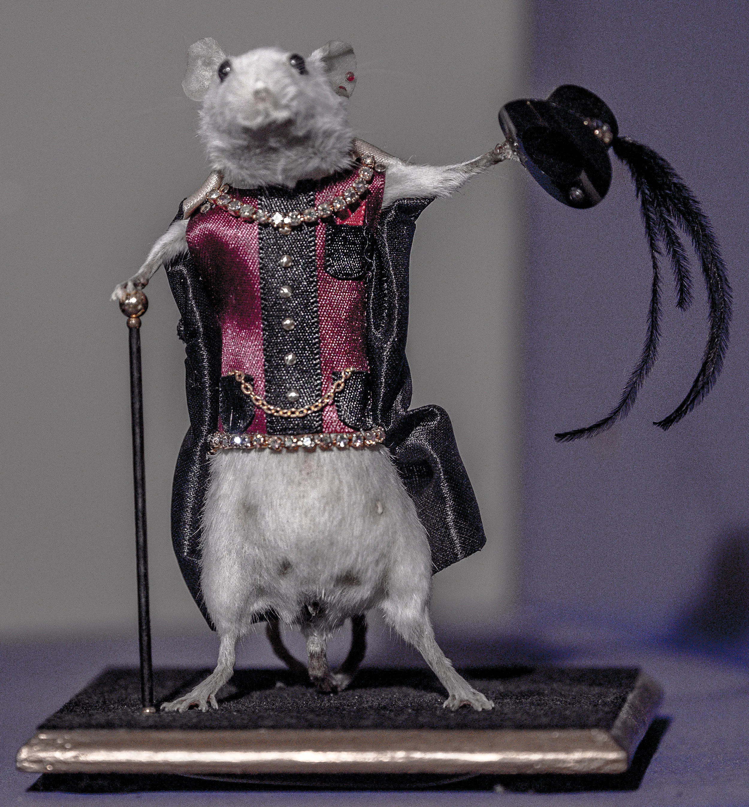 sir mousy.jpg