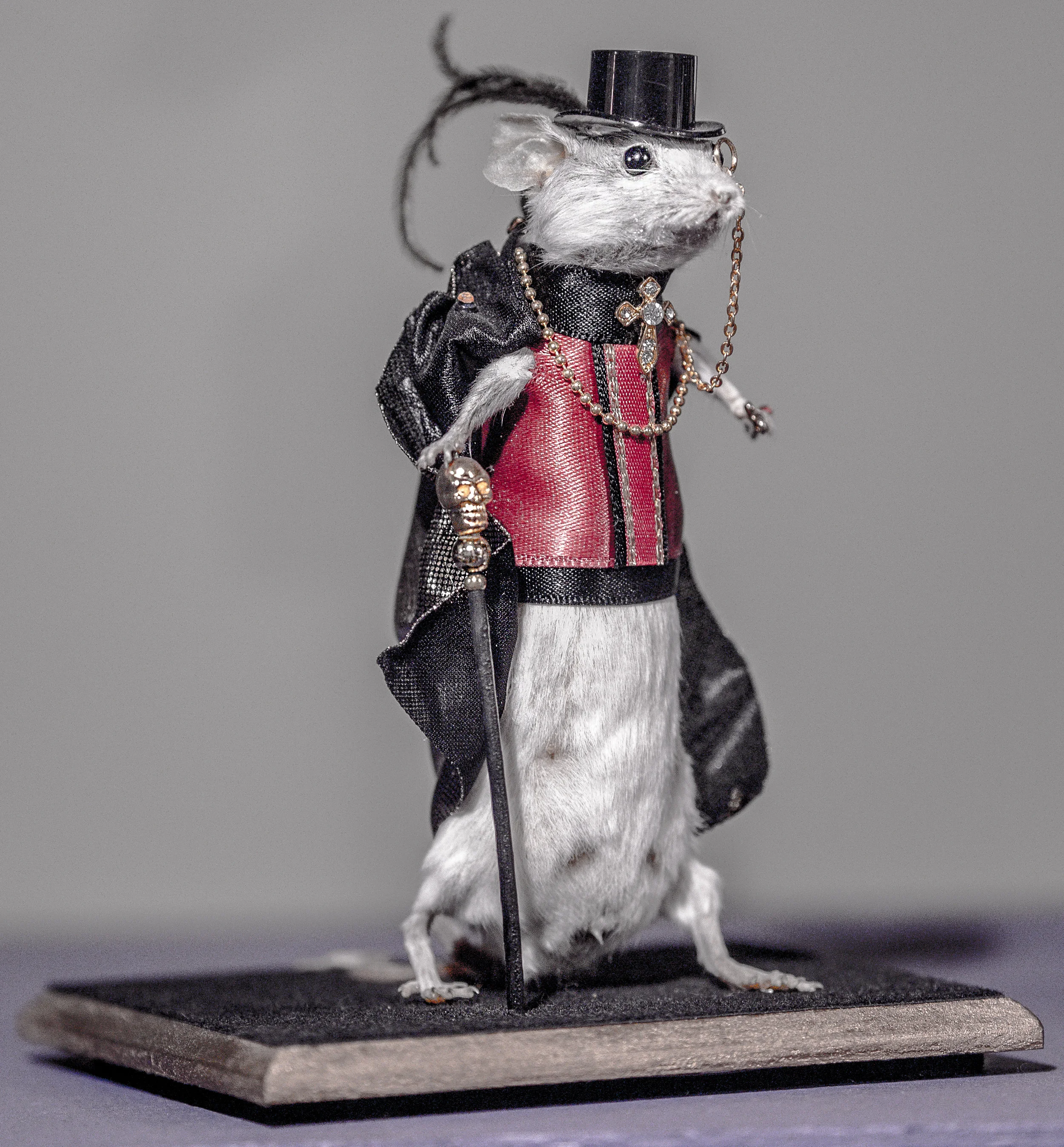 sir mouse.jpg