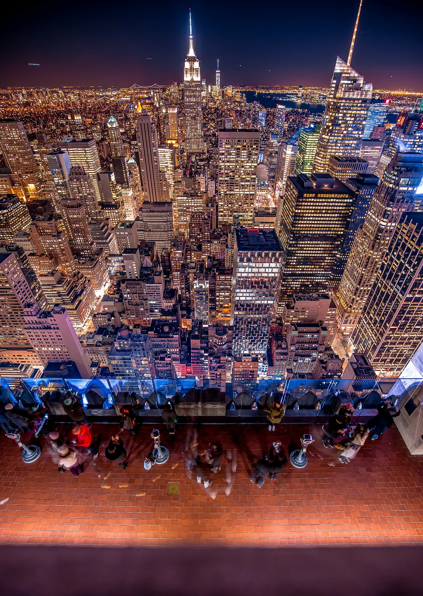 Pigeon views NYC.jpg