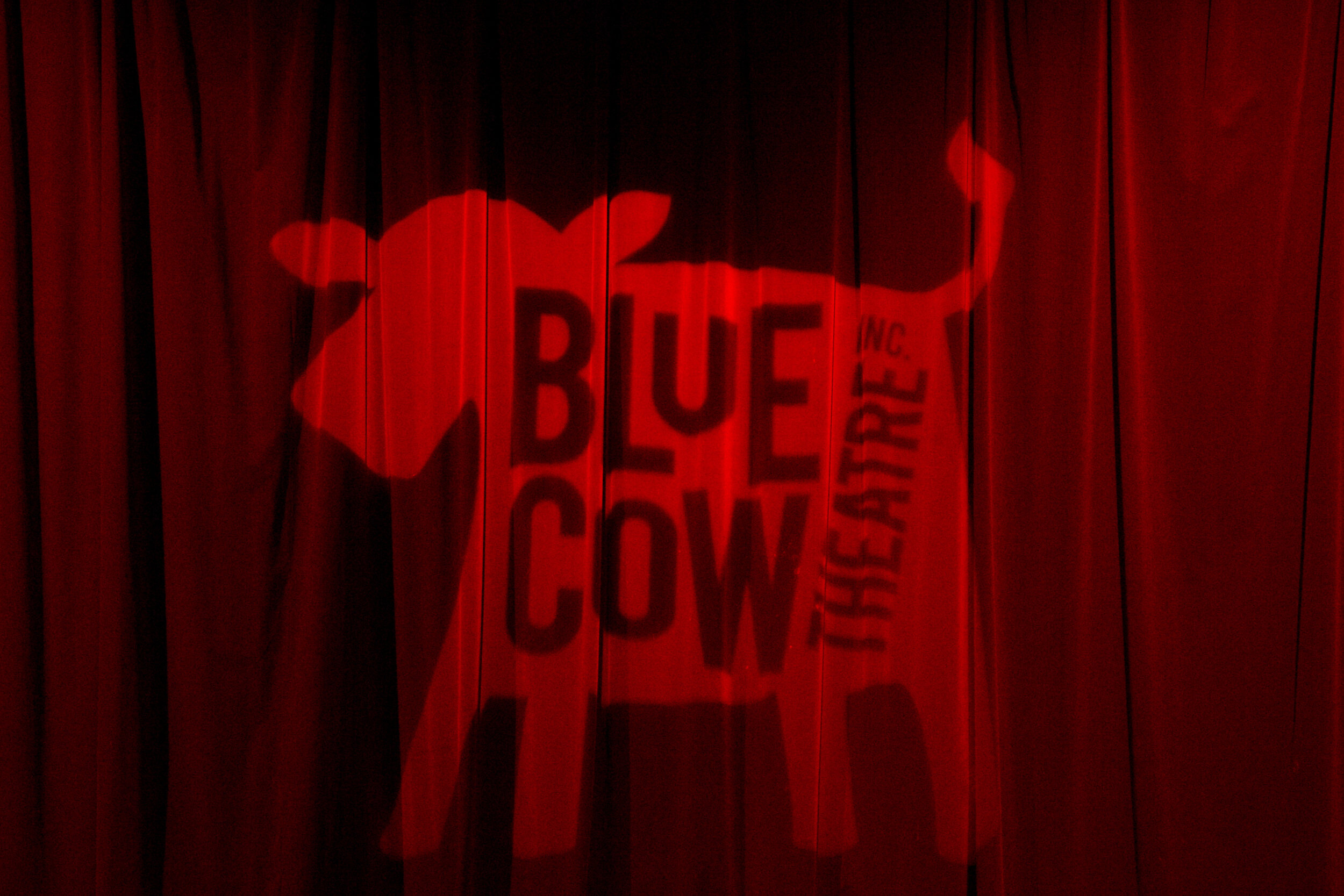 00 Blue Cow Red Curtain 2.jpg