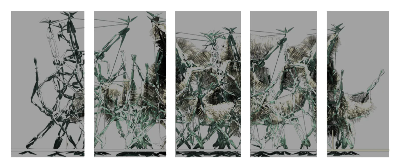 bg_S_slice elevations.jpg