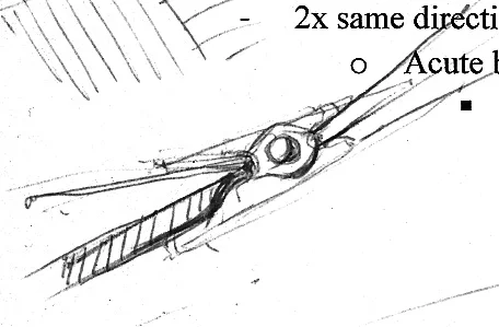 BOTANICAL_2.jpg
