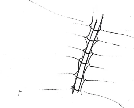 BOTANICAL_4_1.jpg