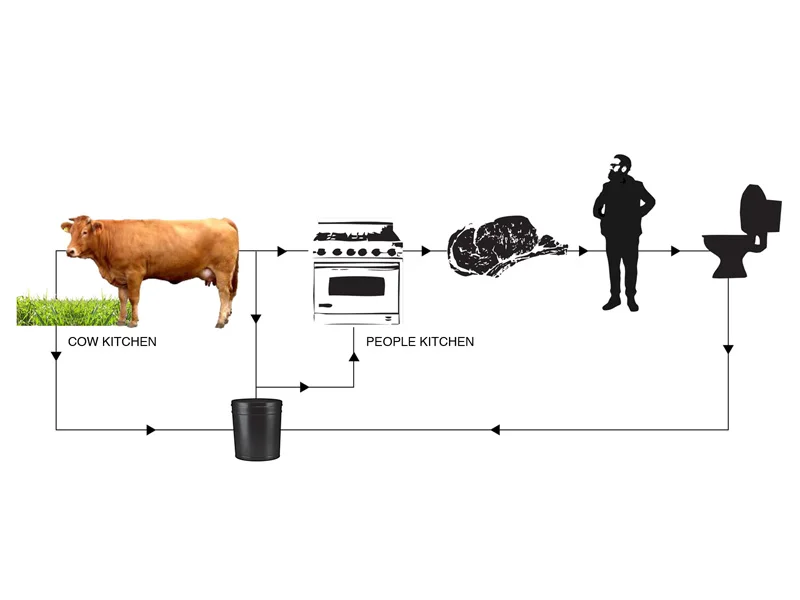 FOODDIAGRAM.jpg