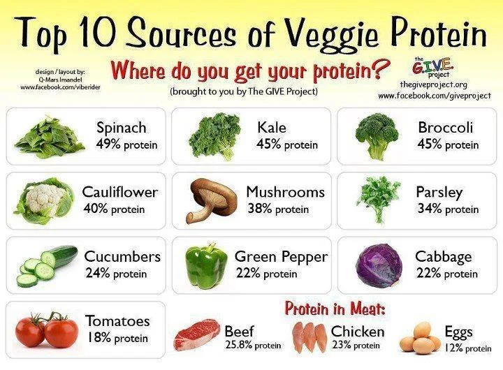 VeggieProtein.jpg