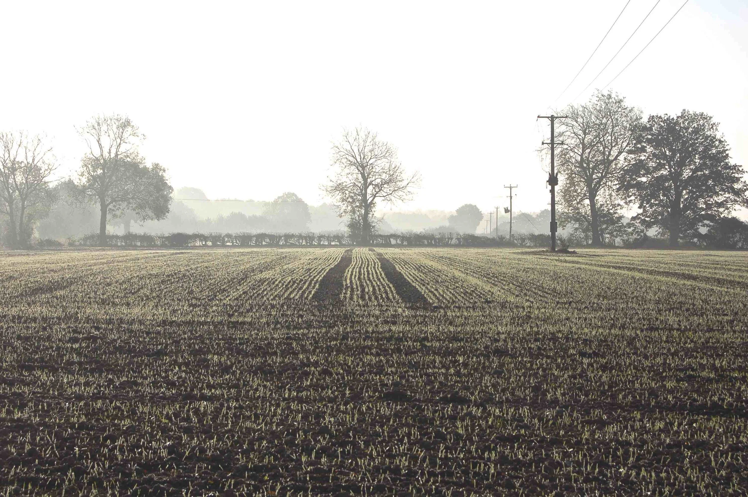 Landscape+23.jpg