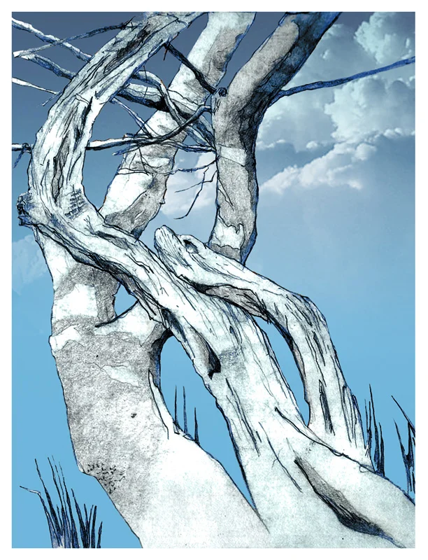 tree2a.jpg