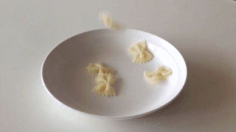 bolognese 02.gif