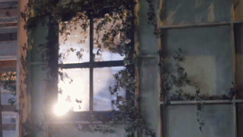 Bigpic02.gif