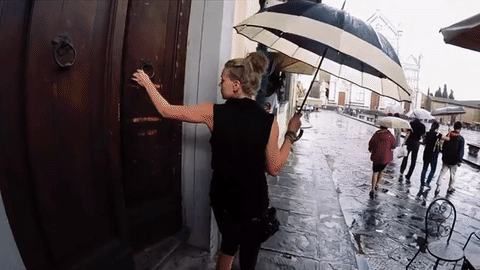 Trip 02.gif