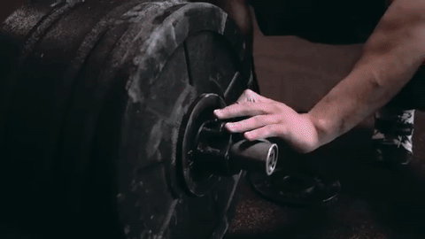 Tola 02.gif