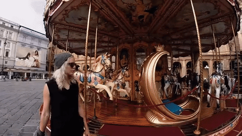 Trip 03.gif