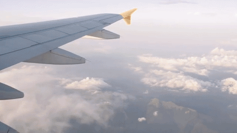 Trip 05.gif