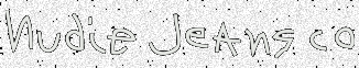 nudie copy.png