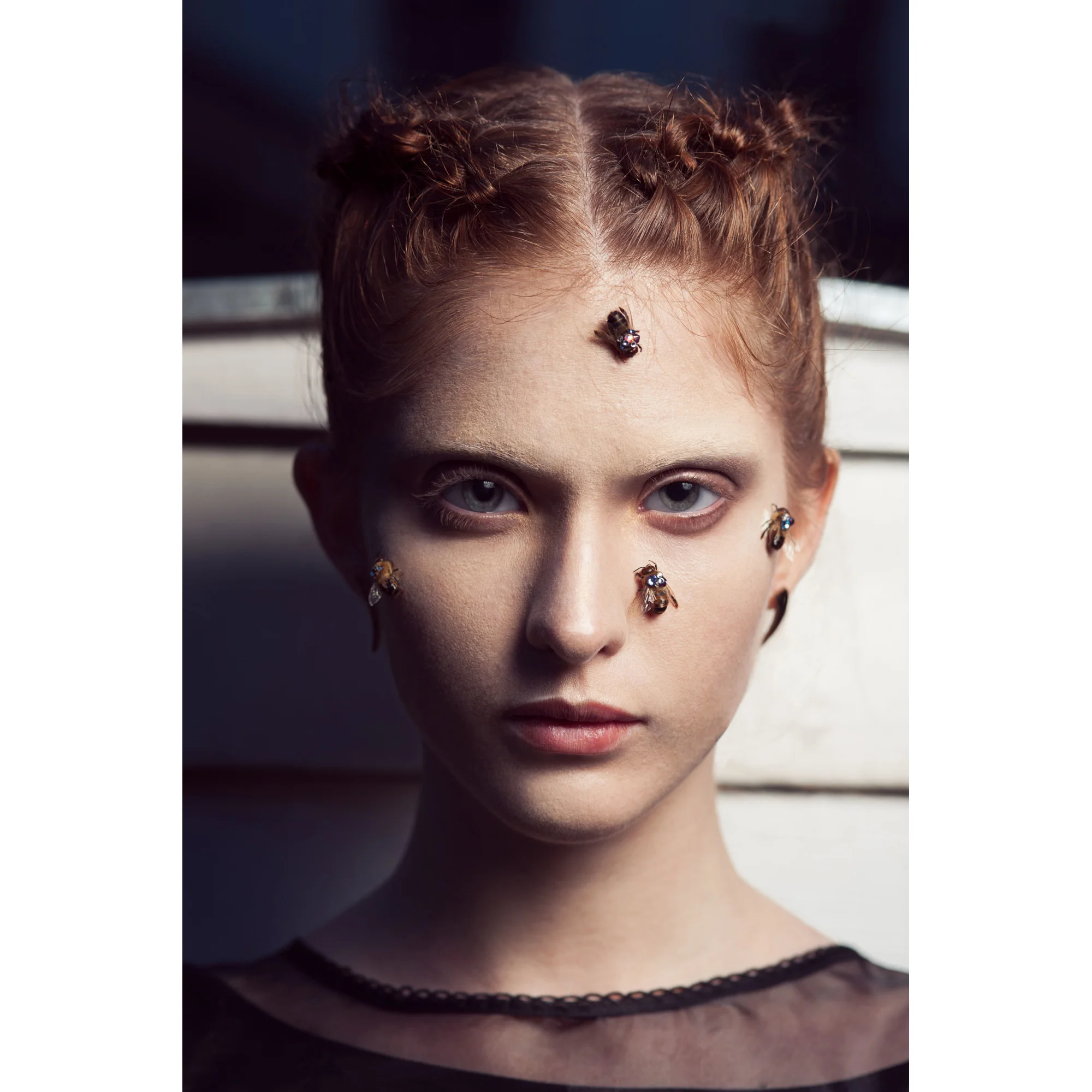 Living Things 1/4