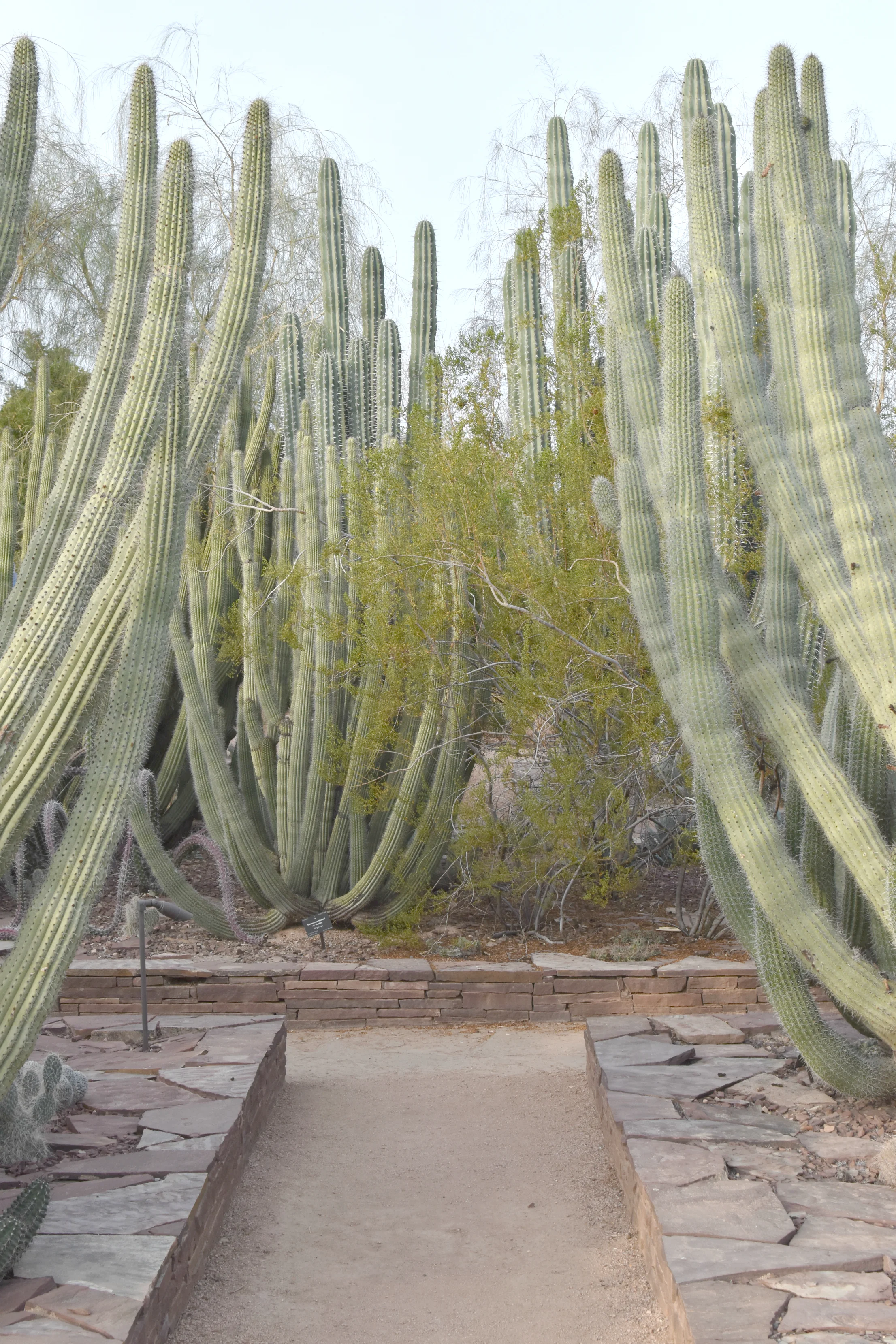 XMS_0382.jpg